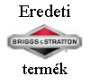 Briggs logo8